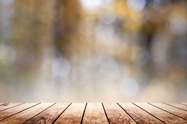 istock Beautiful sunlight in the woods 1081411936