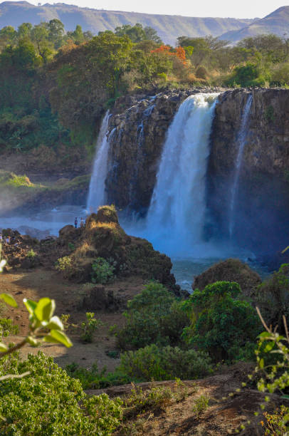 Discovering Ethiopia Ethiopia, the sources of the Blue Nile blue nile stock pictures, royalty-free photos & images