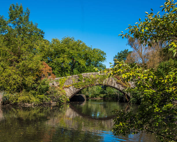 istock Pond and bridge in Central Park 1081415632