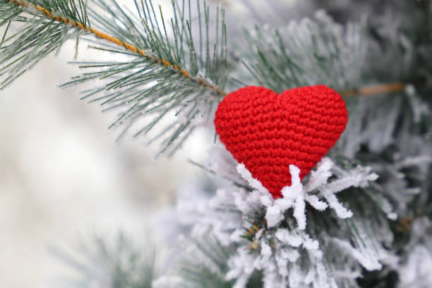 83,700+ Christmas Heart Stock Photos, Pictures & Royalty ...