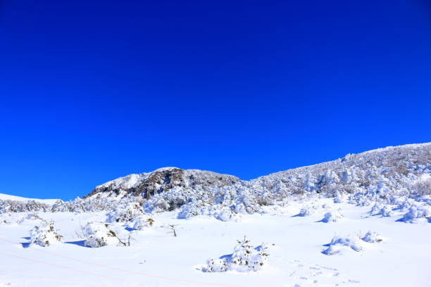 istock Mt. Hanla, Snowy, Snowflakes, 1081417926