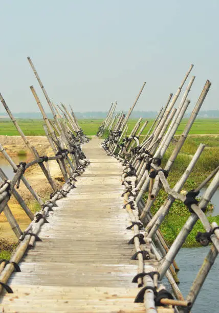A bamboo bridge bends as it crosses over a river. On the far side are rice paddies. Bamboo poles from the bridge lean to either side. The sky is pale blue, with no clouds.