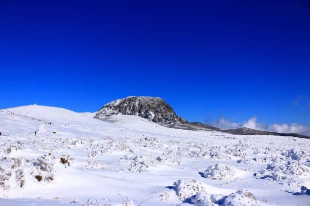 istock Mt. Hanla, Snowy, Snowflakes, 1081418918