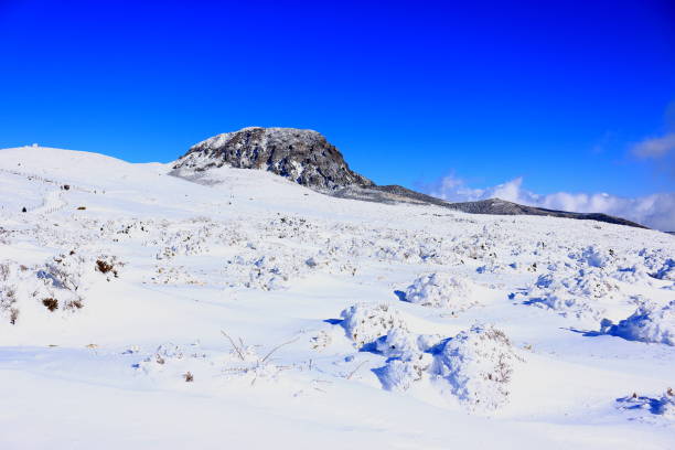 istock Mt. Hanla, Snowy, Snowflakes, 1081419040