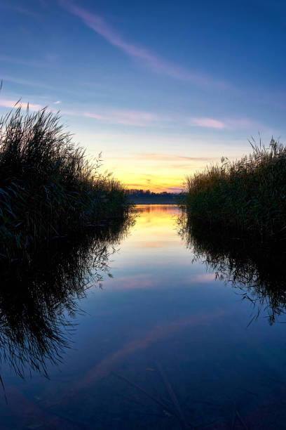 istock Sunset between reeds at the Mecklenburger Lake District. Germany 1081423610