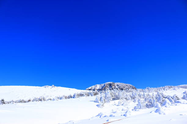 istock Mt. Hanla, Snowy, Snowflakes, 1081425082