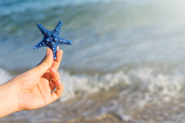 istock Blue starfish in hand. Blurred blue sea on background. 1081425194