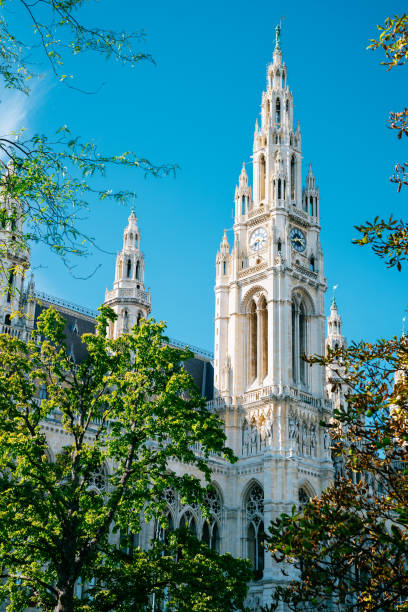 istock The Vienna City Hall (Wiener Rathaus) 1081434892