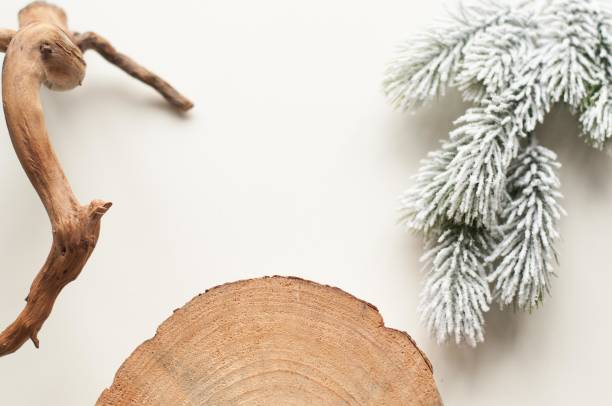 istock Site background. Works of wood 1081441272