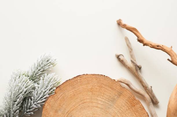 istock Site background. Works of wood 1081441274