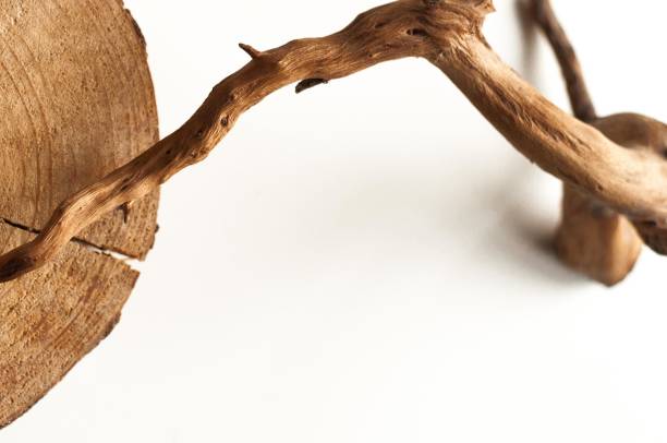 istock Site background. Works of wood 1081441318