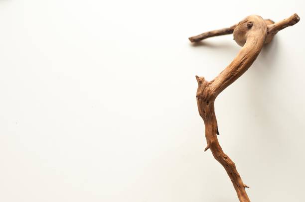 istock Site background. Works of wood 1081441330