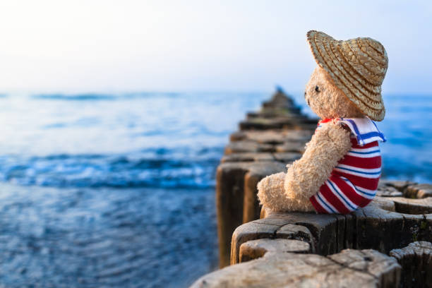 Teddy bear at summer vacation sit on row of wooden groynes, wear straw hat and striped sailor suit, take a look toward blue water horizon (copy space)