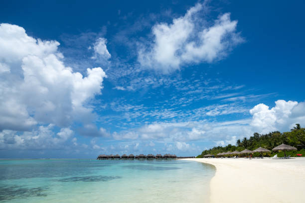 istock Perfect tropical island paradise beach Maldives 1081460400