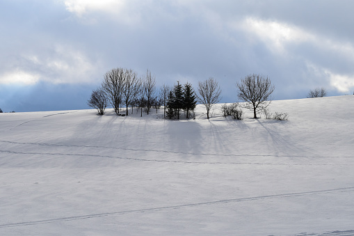 Winter Landscape with Snowy Field and Blue SkyWinter Landscape with Snowy Field and Blue SkyWinter Landscape with Snowy Field and Blue Sky