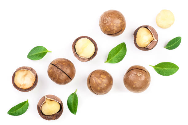 istock Shelled and unshelled macadamia nuts with leaves isolated on white background with copy space for your text. Top view. Flat lay pattern 1081462220