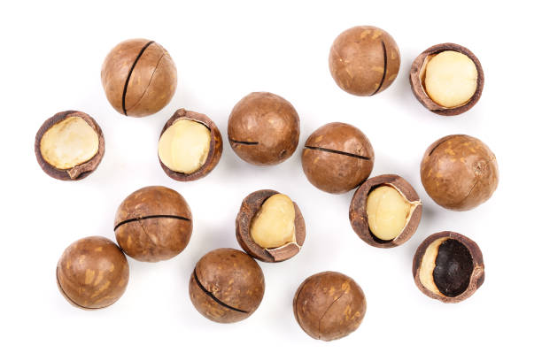 istock Shelled and unshelled macadamia nuts isolated on white background. Top view. Flat lay pattern 1081462224