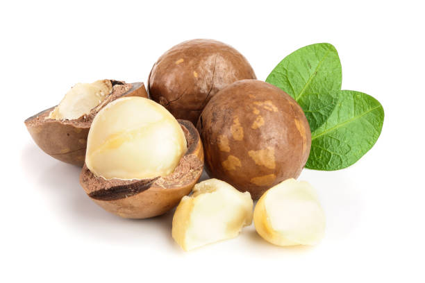 istock Shelled and unshelled macadamia nuts with leaves isolated on white background 1081462236