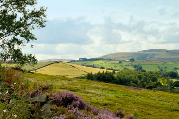 glossop countryside in derbyshire - pennine way imagens e fotografias de stock