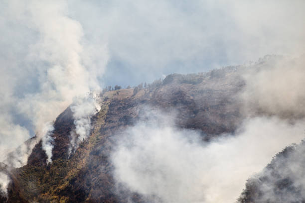 istock Forest fire and smoke In the mountains. 1081463240