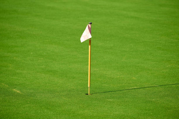 istock Green grass field and golf hole closed up for nature background or texture 1081467864