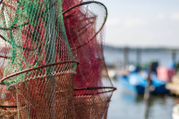 istock Fishing nets and boats 1081468852