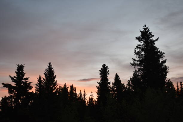 istock Kananaskis Country 1081476536