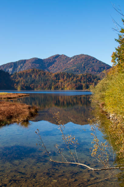istock Lake in the Alps 1081477806