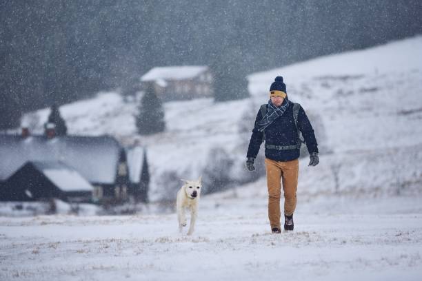 istock Man playing with dog in winter landscape 1081483894
