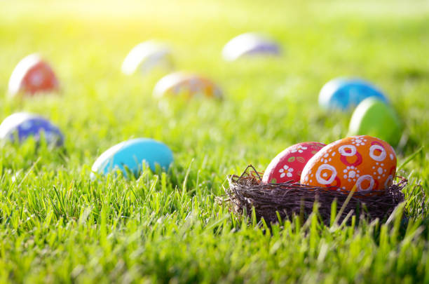 istock Easter eggs in the nest on green spring grass 1081484062