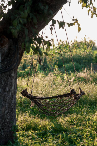 istock Suspended self-made swing weigh on tree 1081489370