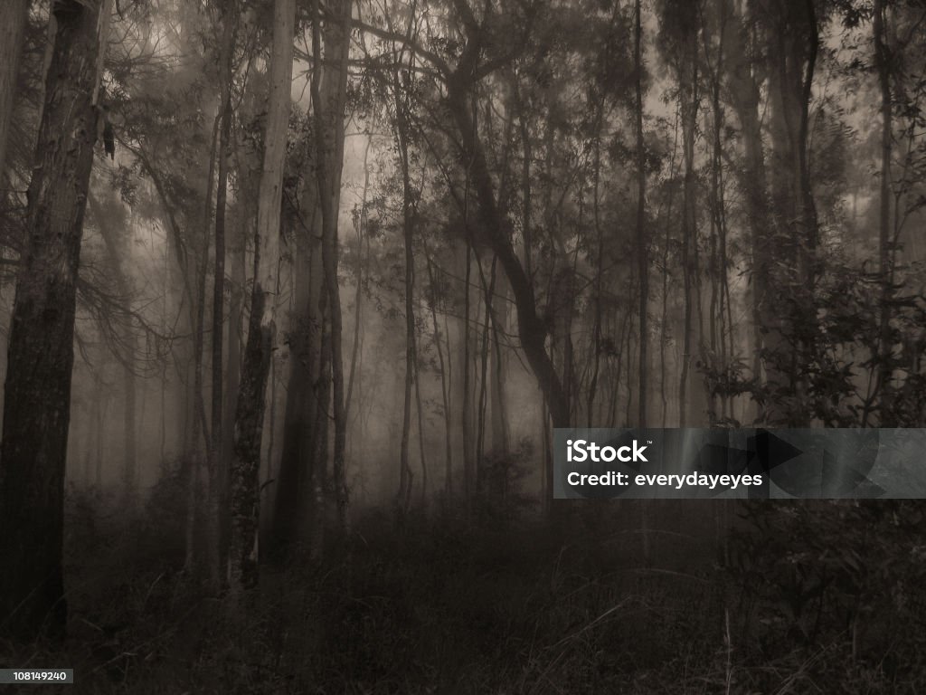 Silhouette di nebbia foresta, bianco e nero - Foto stock royalty-free di Alba - Crepuscolo