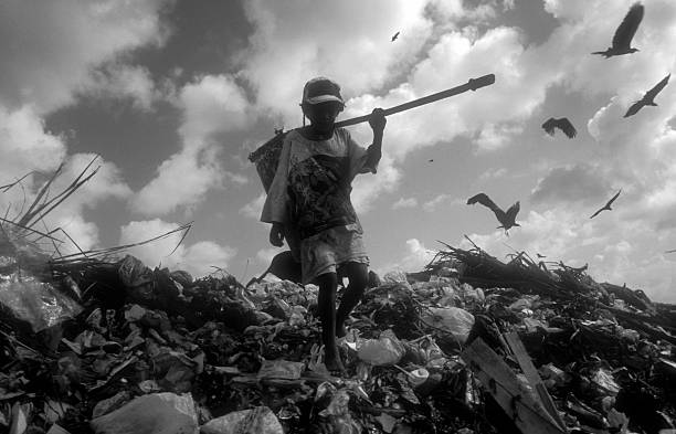 Refuse compactor working at garbage dump and flock of birds