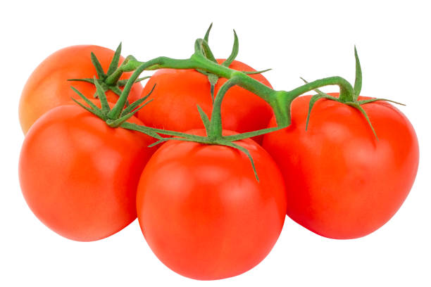istock Tomato. Tomato branch. Tomatoes isolated on white. With clipping path 1081492988