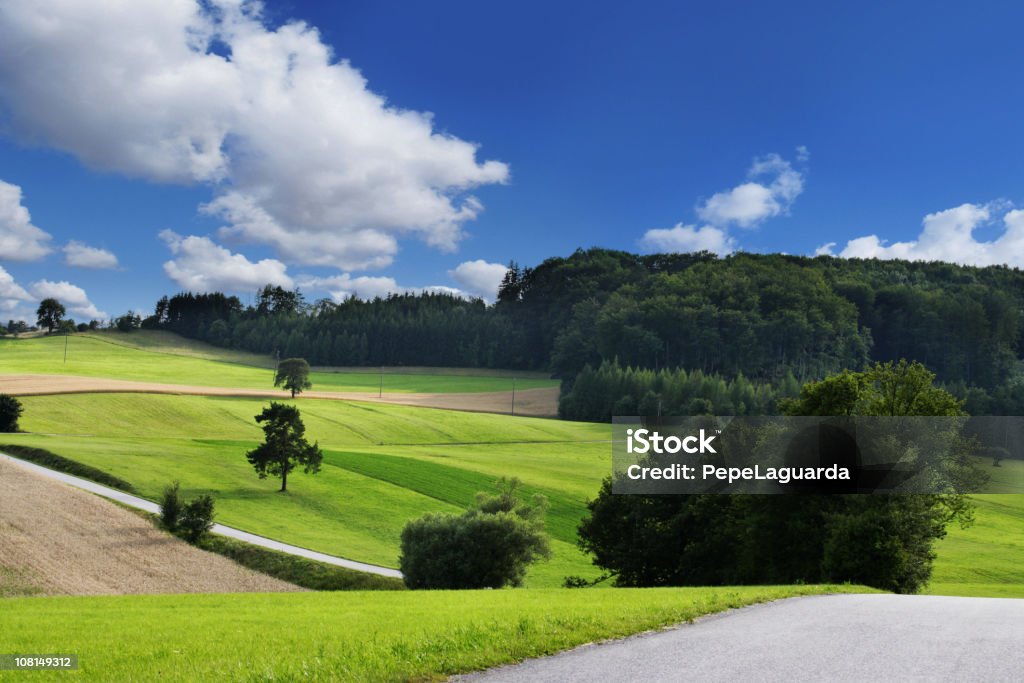 Rolling Hills e verde florestas contra o céu azul - Royalty-free Agricultura Foto de stock