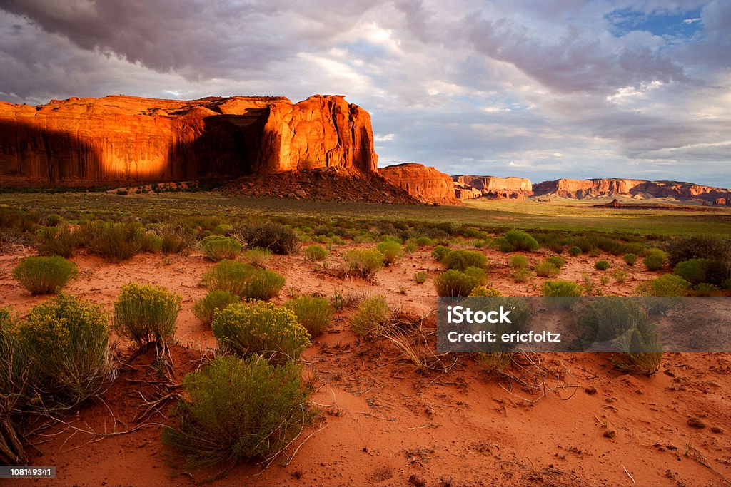 Red Desert Canyon Rock Landscape  Arizona Stock Photo