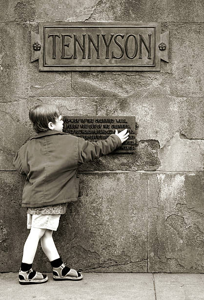 Boy and Alfred Lord Tennyson poetry monument  laureate stock pictures, royalty-free photos & images