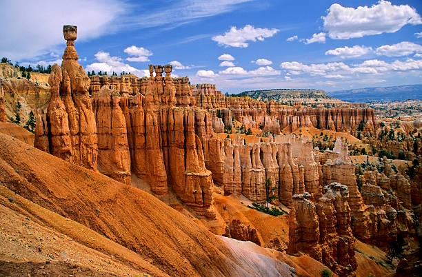 thor's hammer, bryce canyon - bryce canyon national park imagens e fotografias de stock