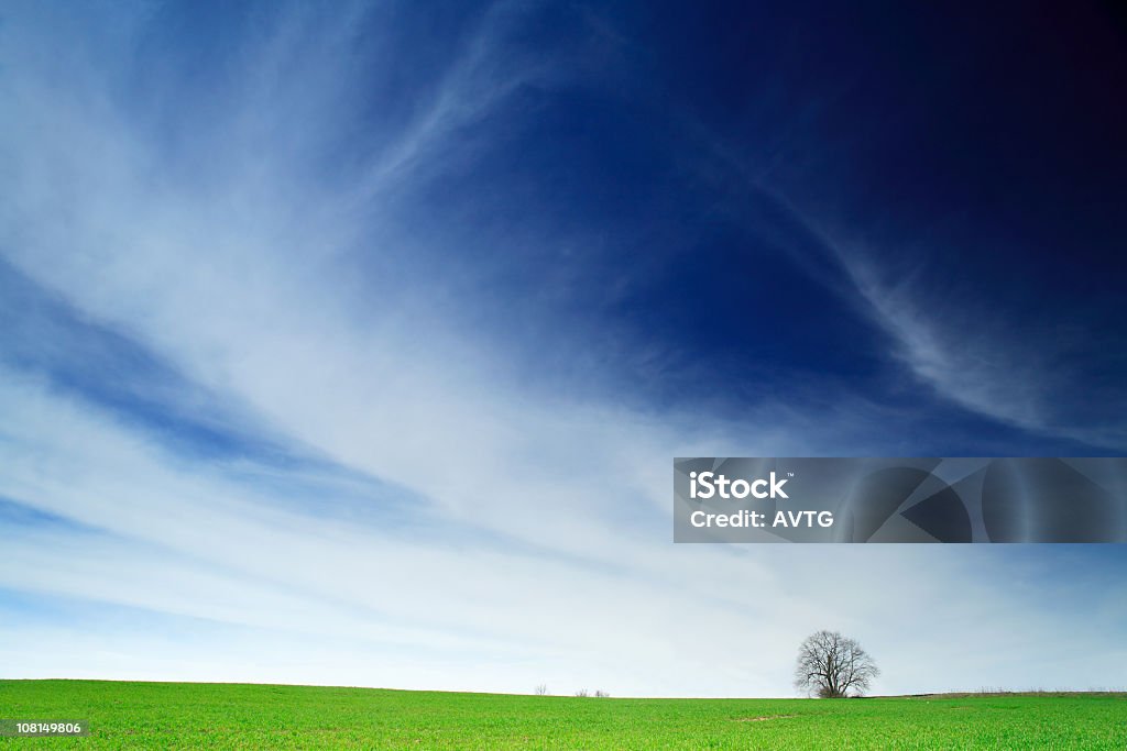 Árvore no campo verde contra o céu azul e nuvens bonitas - Royalty-free Agricultura Foto de stock