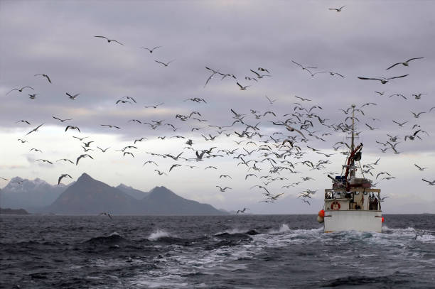 fishingboat stock photo