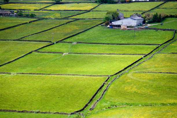 Beautiful rural landscape from the Republic of Moldova. Village life in spring.
