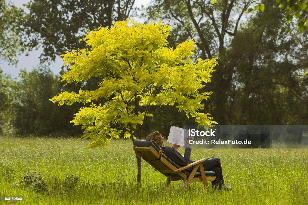 Женщина, сидящая на шезлонг, читающий книгу под дерево (XXL - Стоковые фото В полный рост роялти-фри
