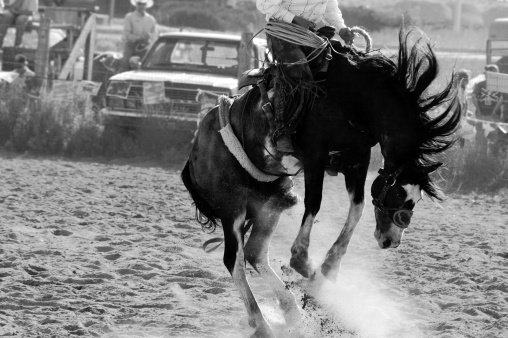 cowboys herding horses on the Oregon high desert