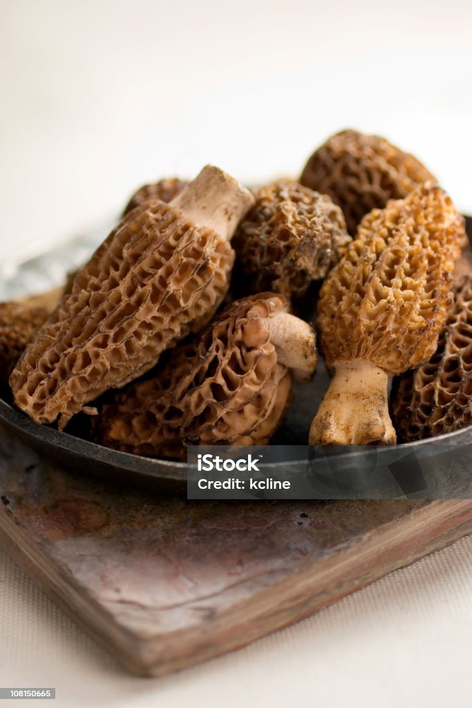 Cremosa de hongos - Foto de stock de Morchella libre de derechos