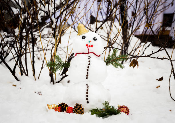 istock Snowman in the winter garden 1081507024