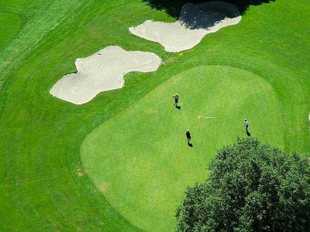 istock Aerial view of players on a green golf course 108150749