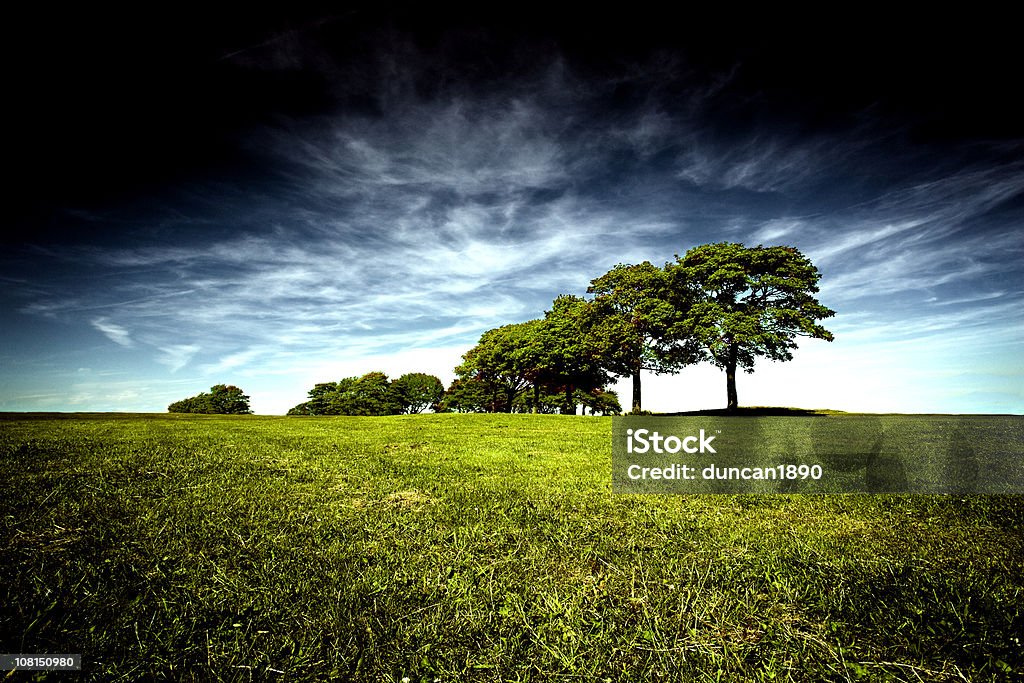 Árvores no campo verde contra o céu azul - Royalty-free Carvalho Foto de stock