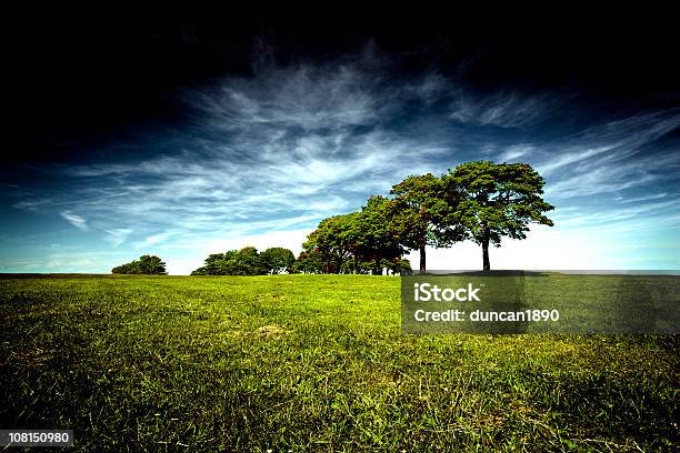 Árvores No Campo Verde Contra O Céu Azul - Fotografias de stock e mais imagens de Carvalho - Carvalho, Agricultura, Ao Ar Livre