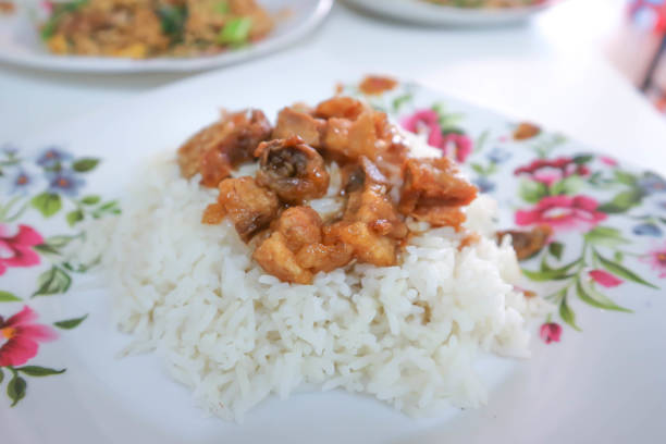 fried pork or rice topped with fried pork dish