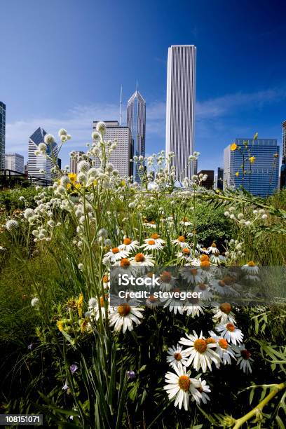 Sommer In Chicago Stockfoto und mehr Bilder von Aon Center - Chicago - Aon Center - Chicago, Chicago - Illinois, Architektur